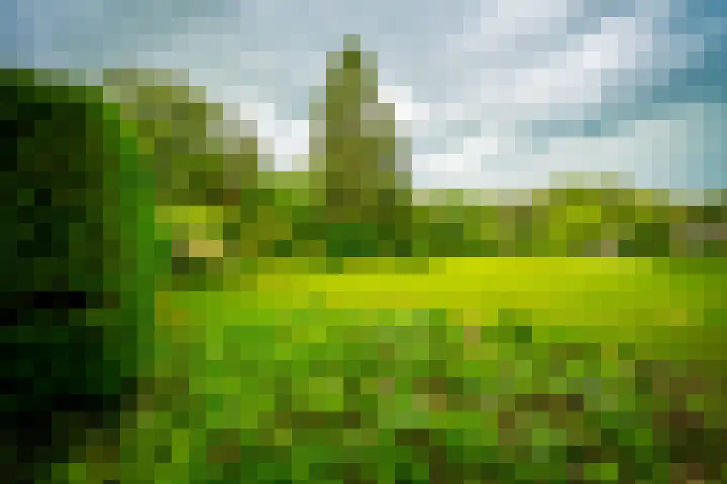 Arnhemse Bovenweg 12 82 Zeist thumbnail 28