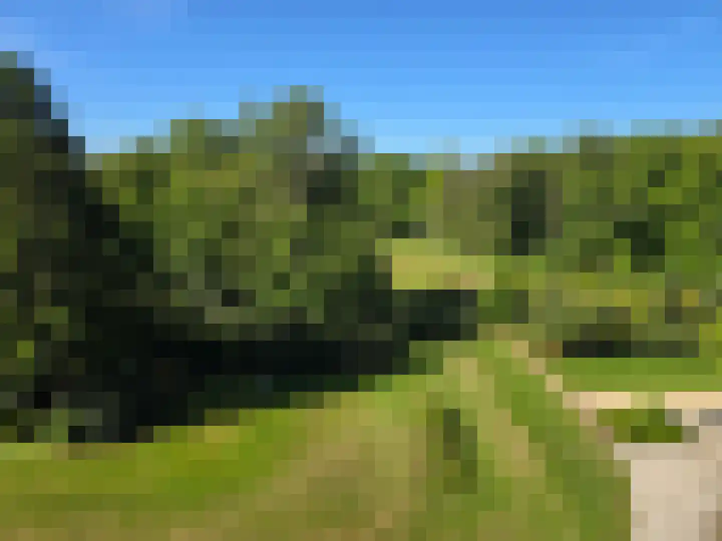 Arnhemse Bovenweg 12 85 Zeist thumbnail 11