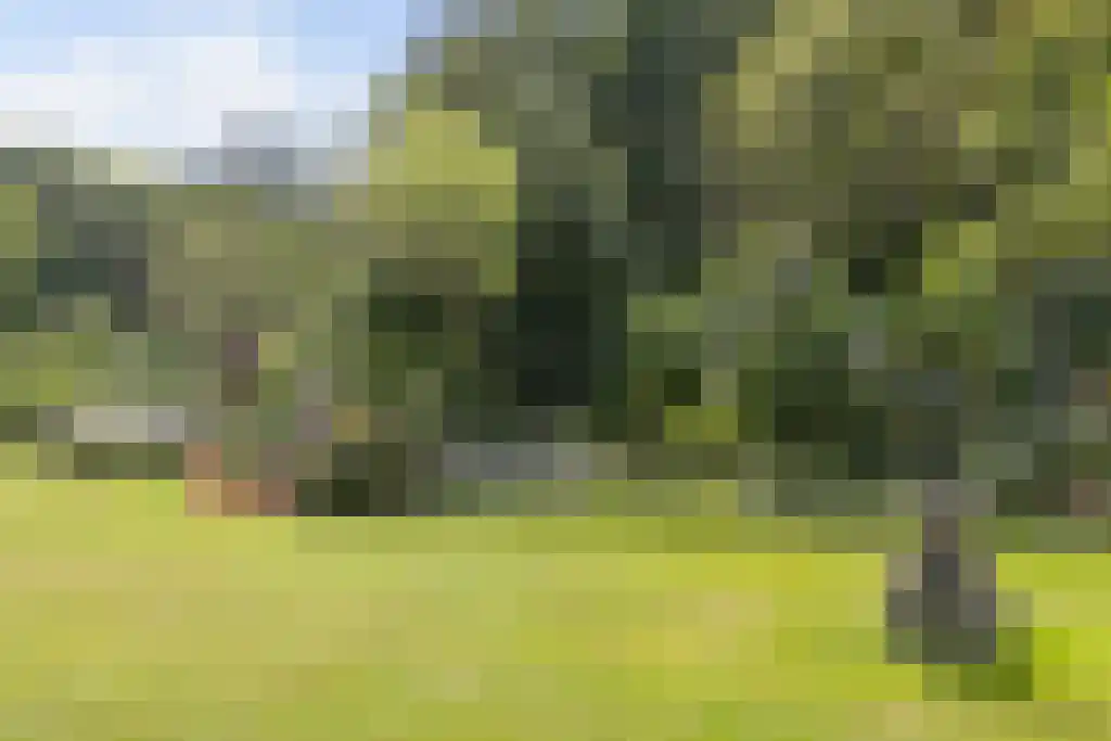 Arnhemse Bovenweg 12 85 Zeist thumbnail 31
