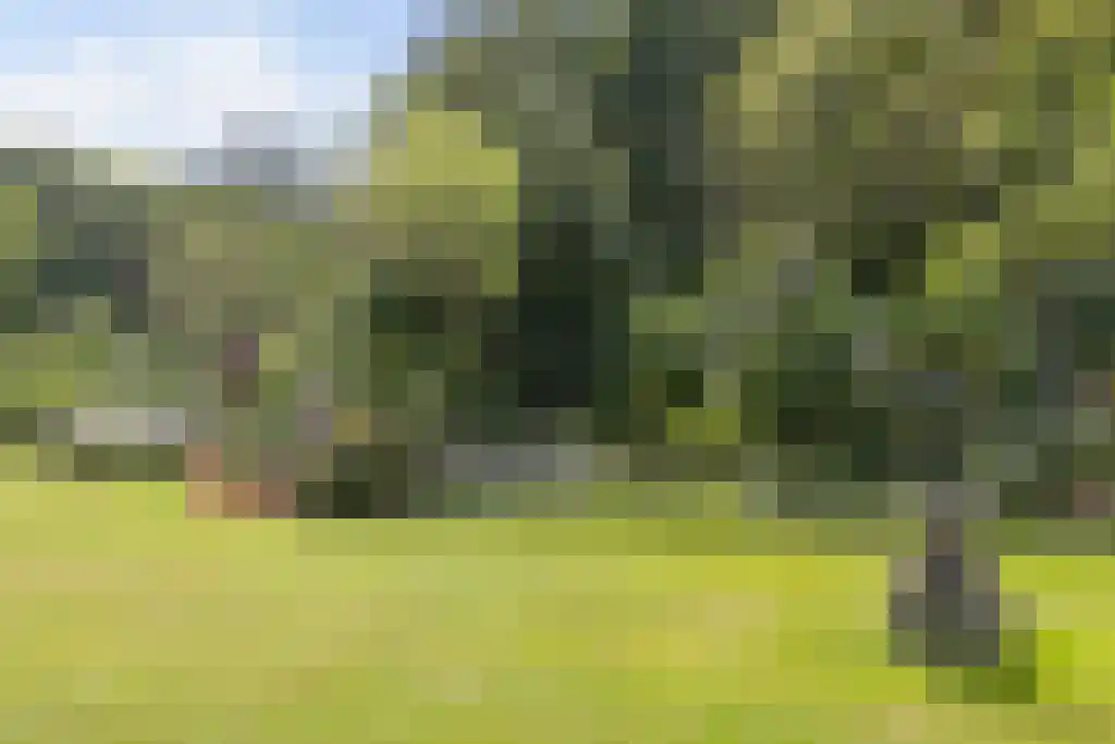 Arnhemse Bovenweg 12 85 Zeist thumbnail 47