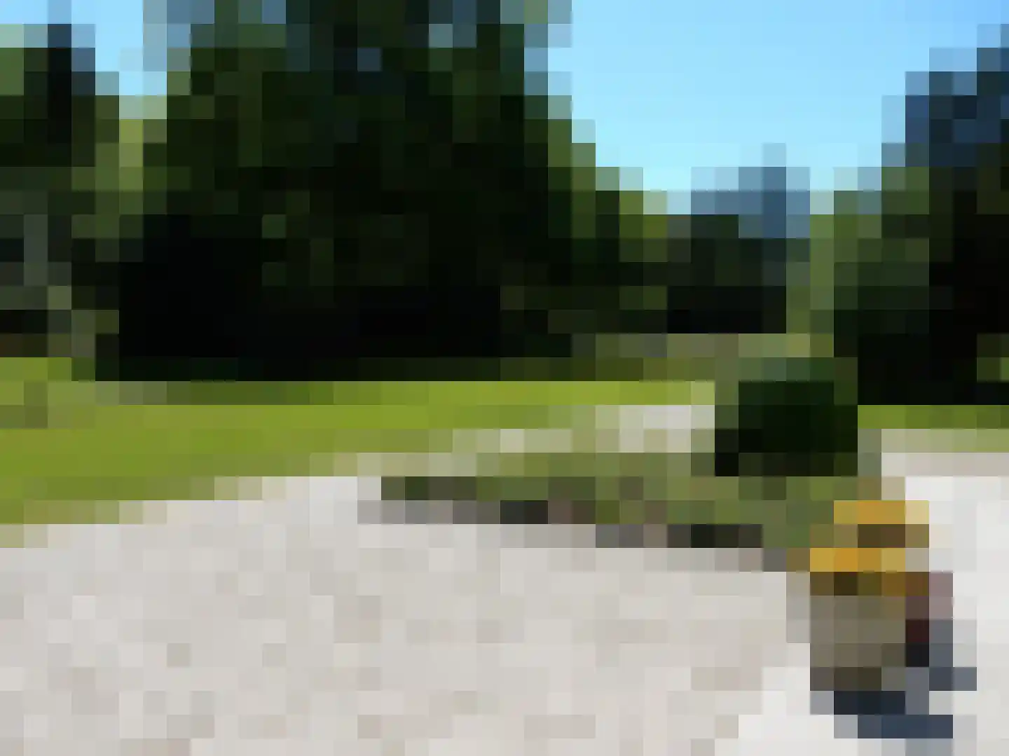 Arnhemse Bovenweg 12 85 Zeist thumbnail 49