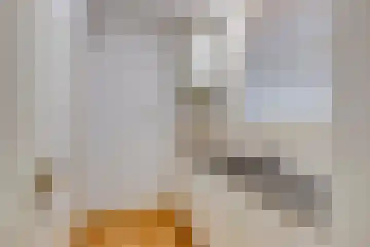 Arnhemse Bovenweg 12 Zeist thumbnail 14