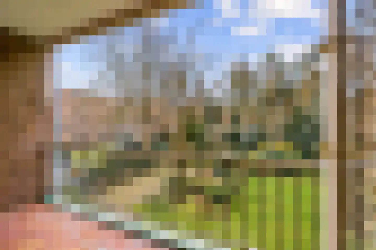 Arnhemse Bovenweg 16 14 Zeist thumbnail 32