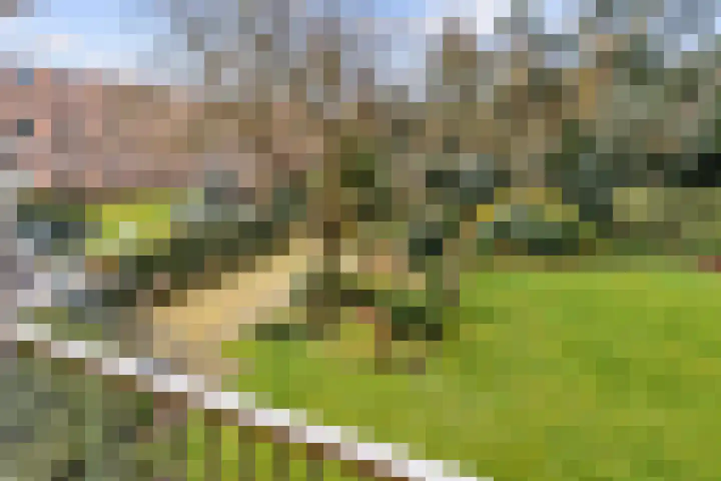 Arnhemse Bovenweg 16 14 Zeist thumbnail 33