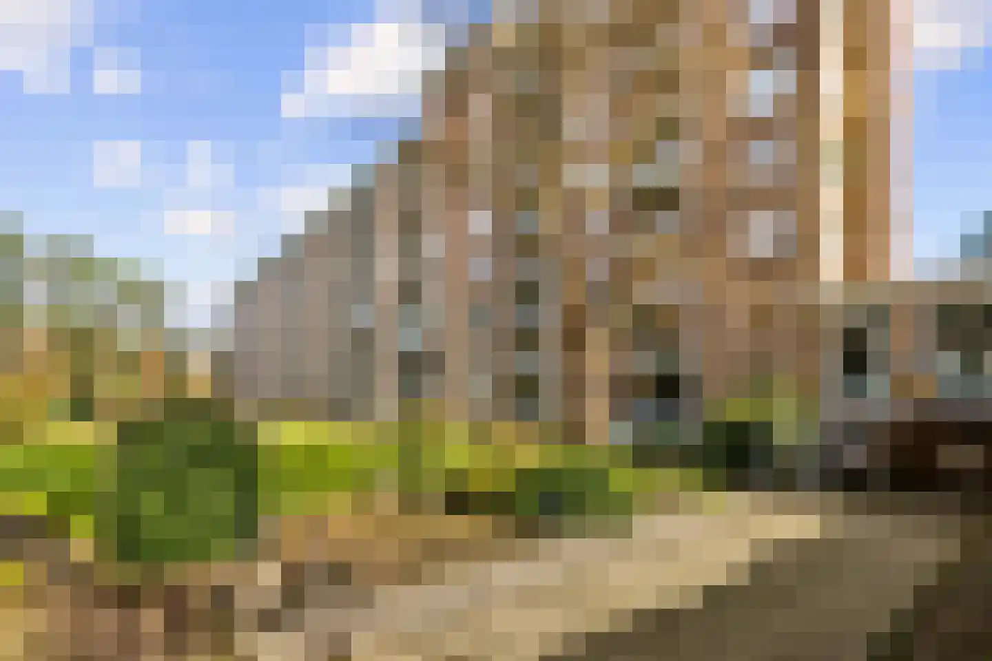 Arnhemse Bovenweg 16 14 Zeist thumbnail 39