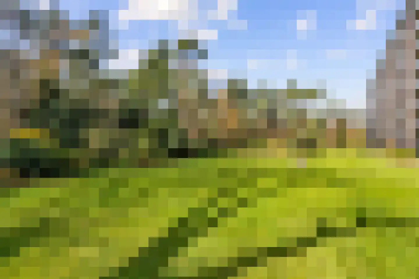 Arnhemse Bovenweg 16 14 Zeist thumbnail 40