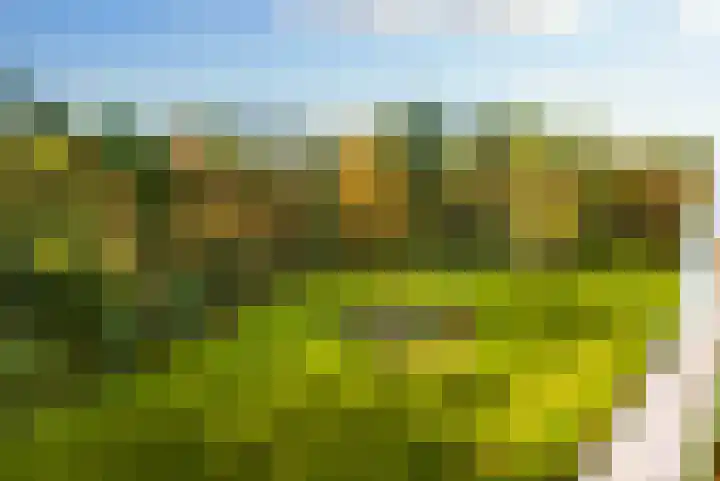Arnhemse Bovenweg 16 31 Zeist thumbnail 29