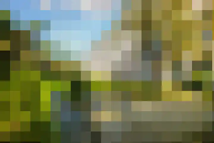 Arnhemse Bovenweg 16 31 Zeist thumbnail 30