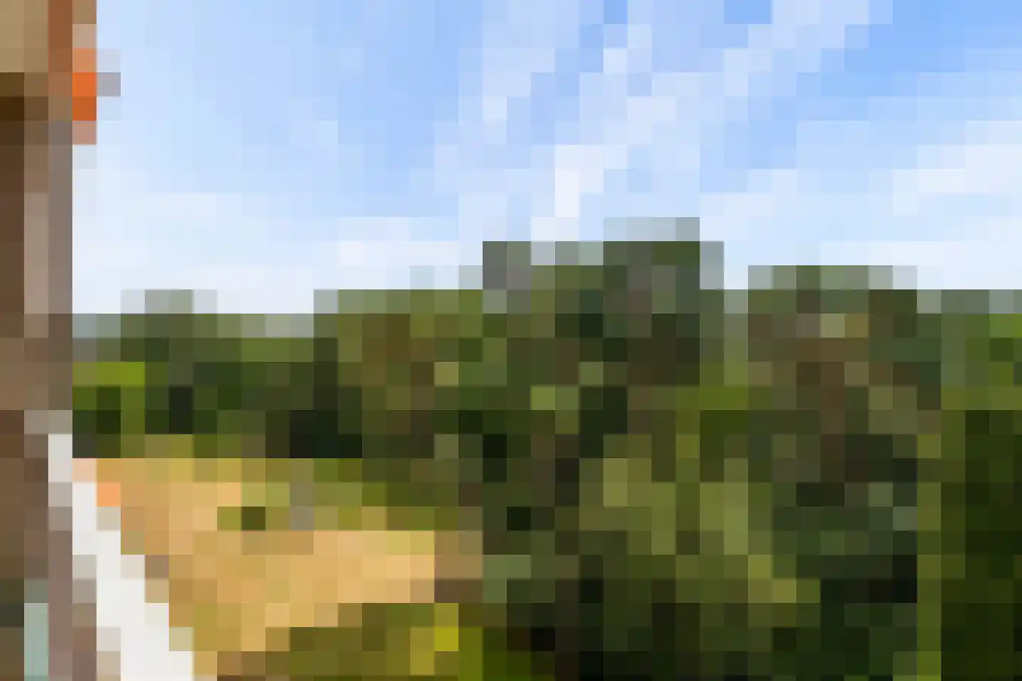 Arnhemse Bovenweg 16 68 Zeist thumbnail 36