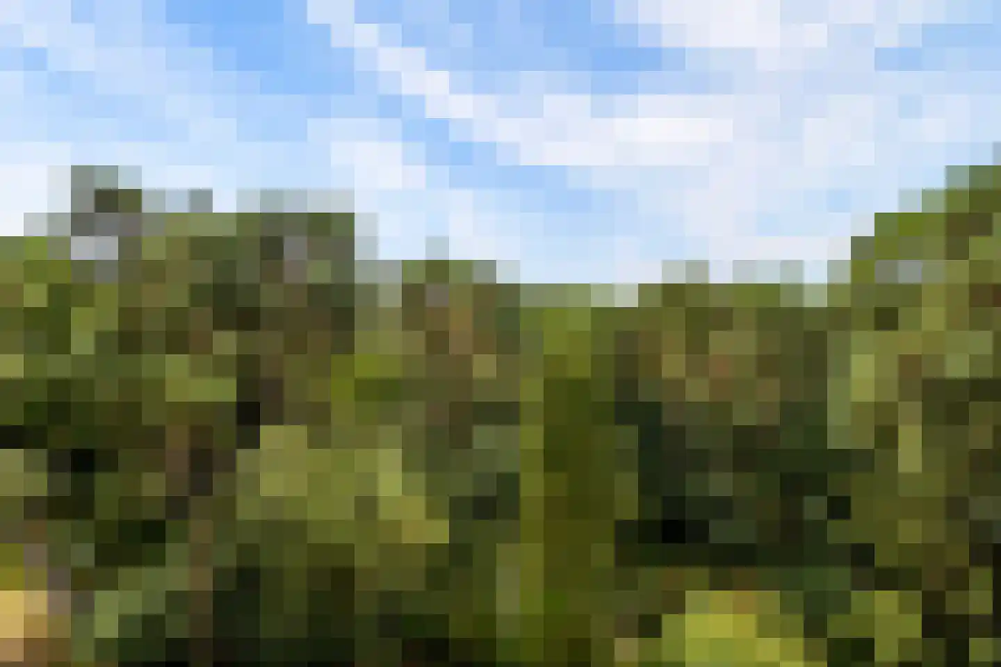Arnhemse Bovenweg 16 68 Zeist thumbnail 37
