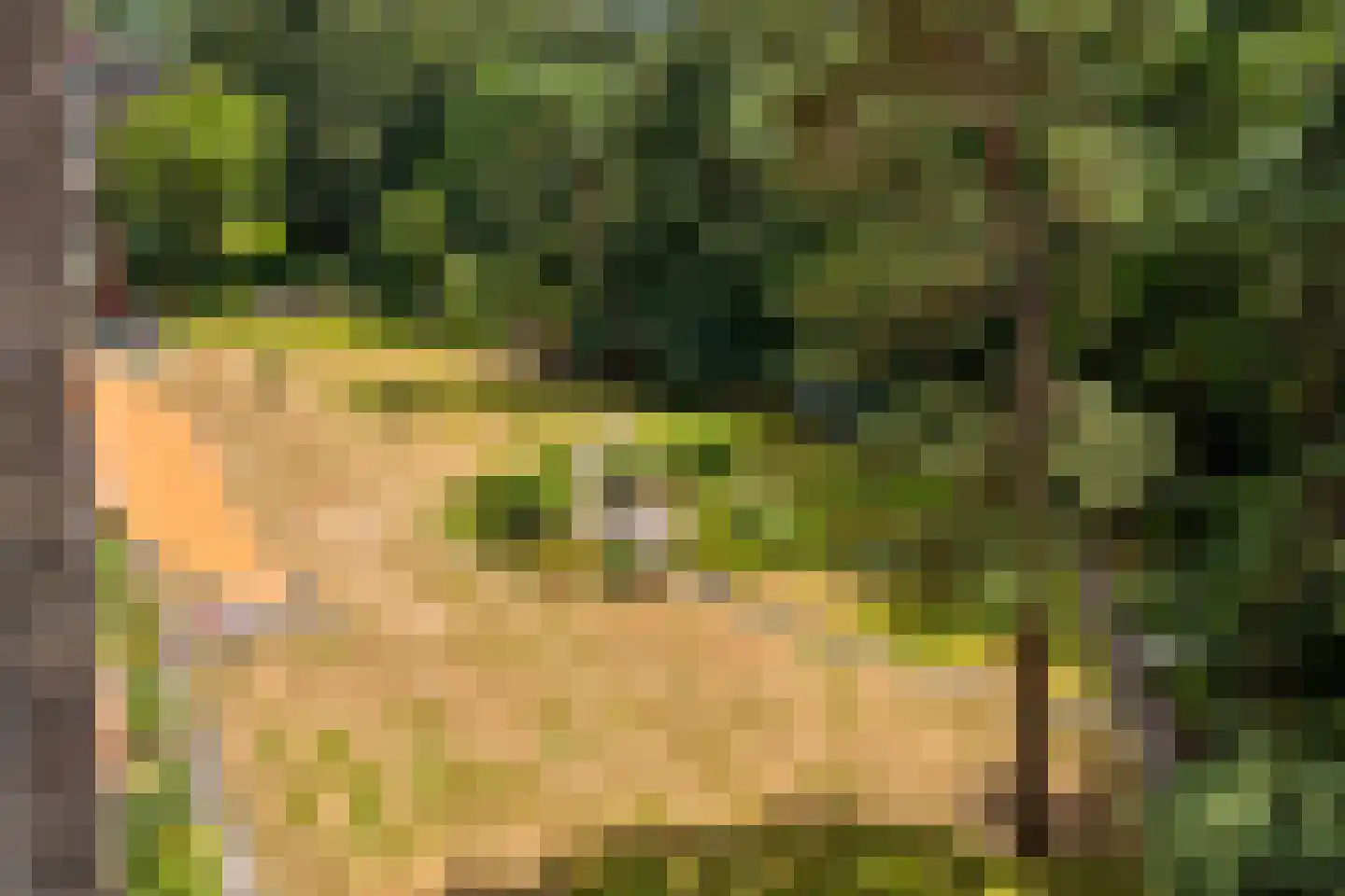 Arnhemse Bovenweg 16 68 Zeist thumbnail 38