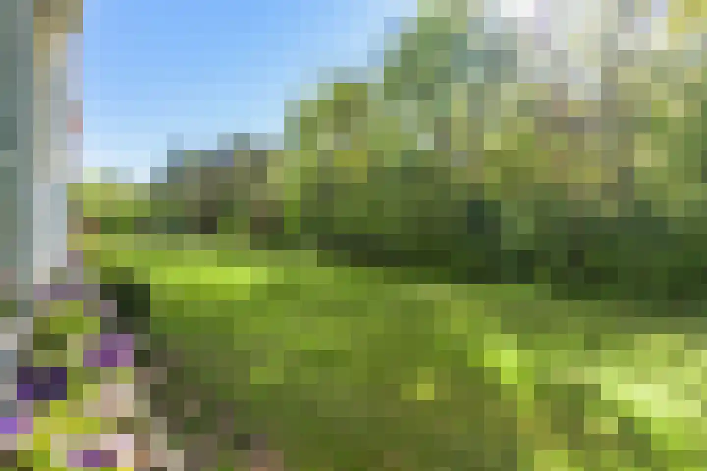 Arnhemse Bovenweg 18 11 Zeist thumbnail 18