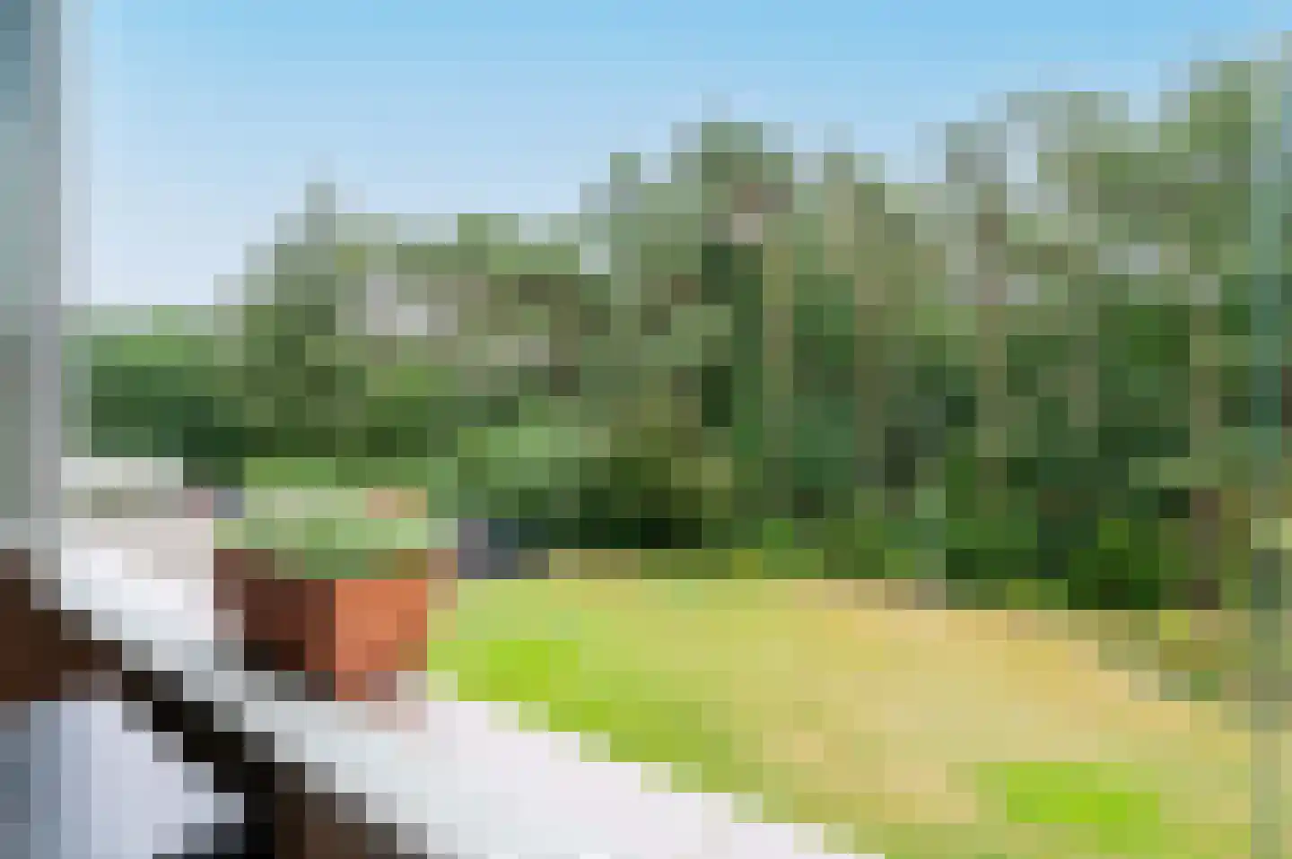 Arnhemse Bovenweg 18 19 Zeist thumbnail 18