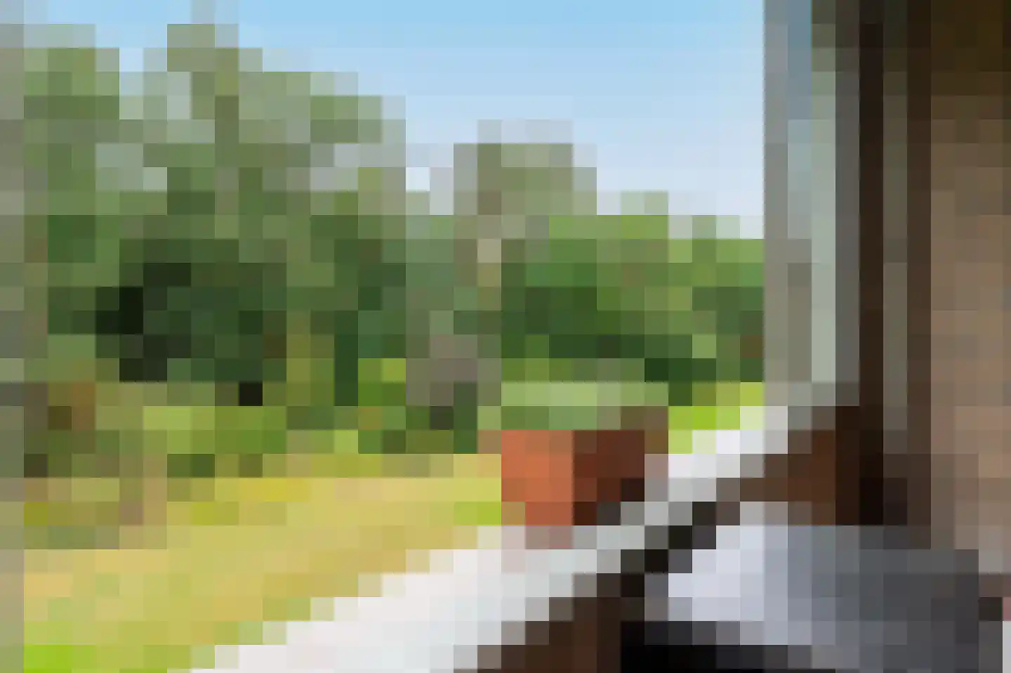 Arnhemse Bovenweg 18 19 Zeist thumbnail 20