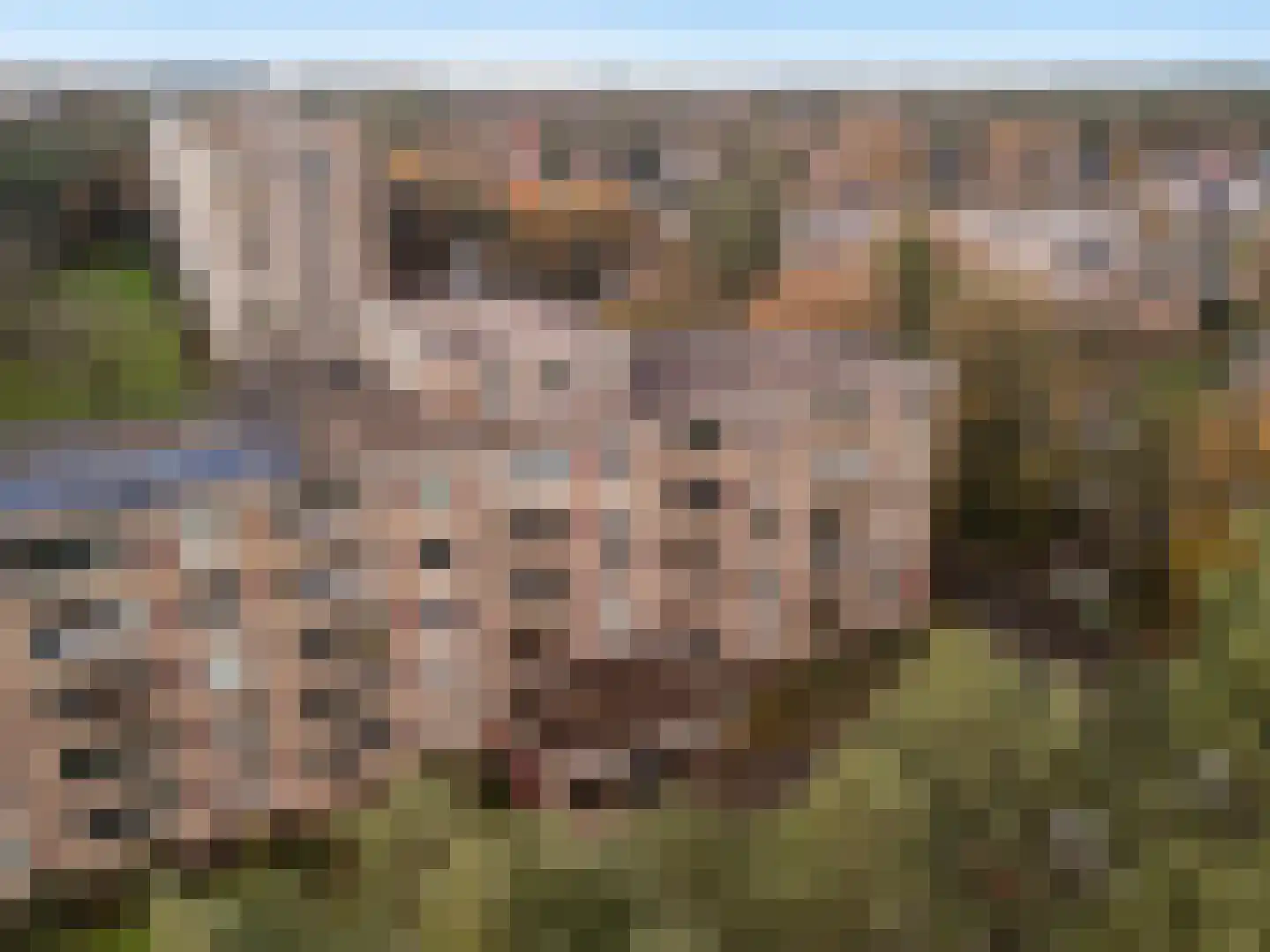 Arnhemse Bovenweg 18 35 Zeist thumbnail 32