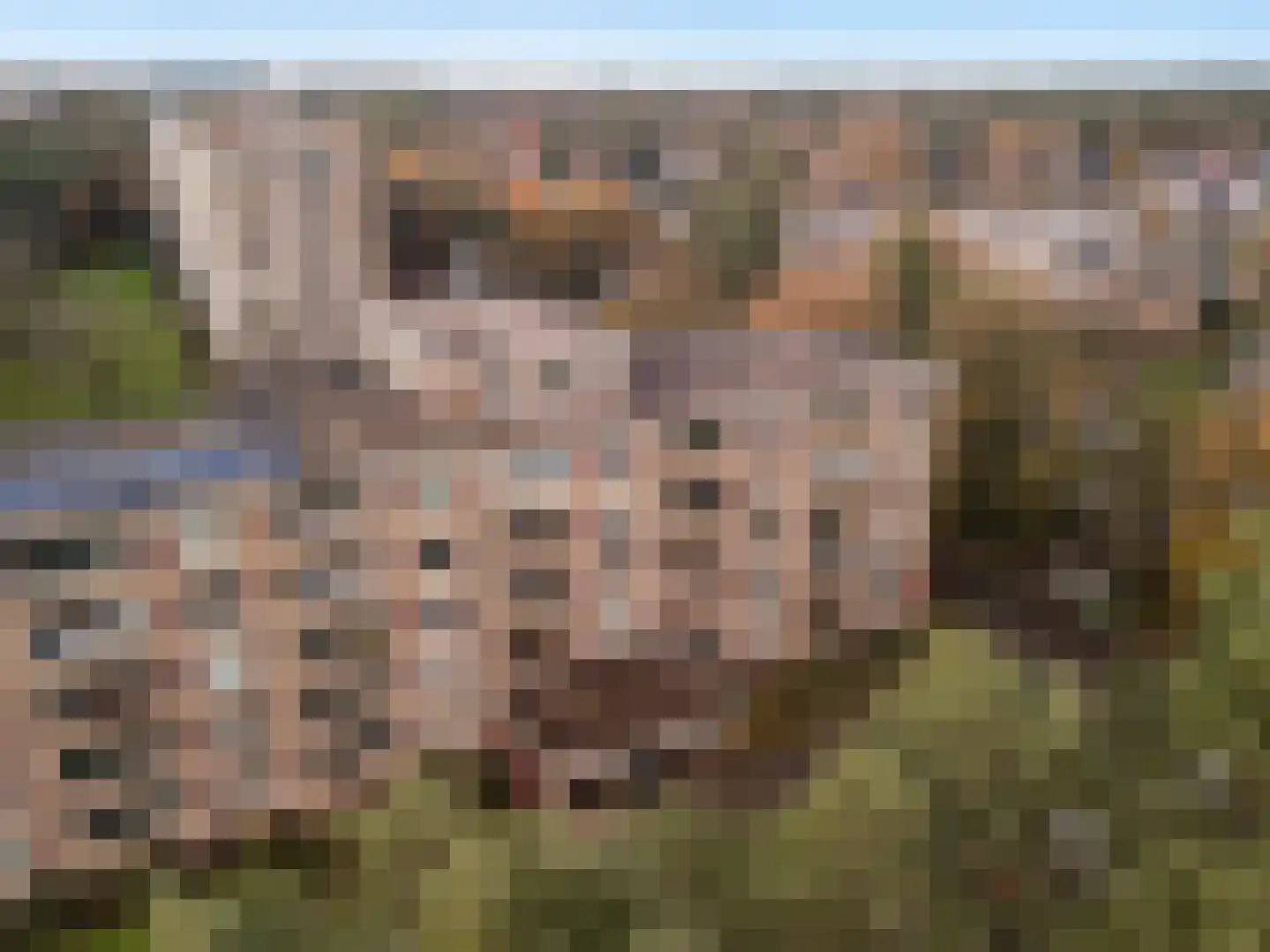 Arnhemse Bovenweg 18 35 Zeist thumbnail 34
