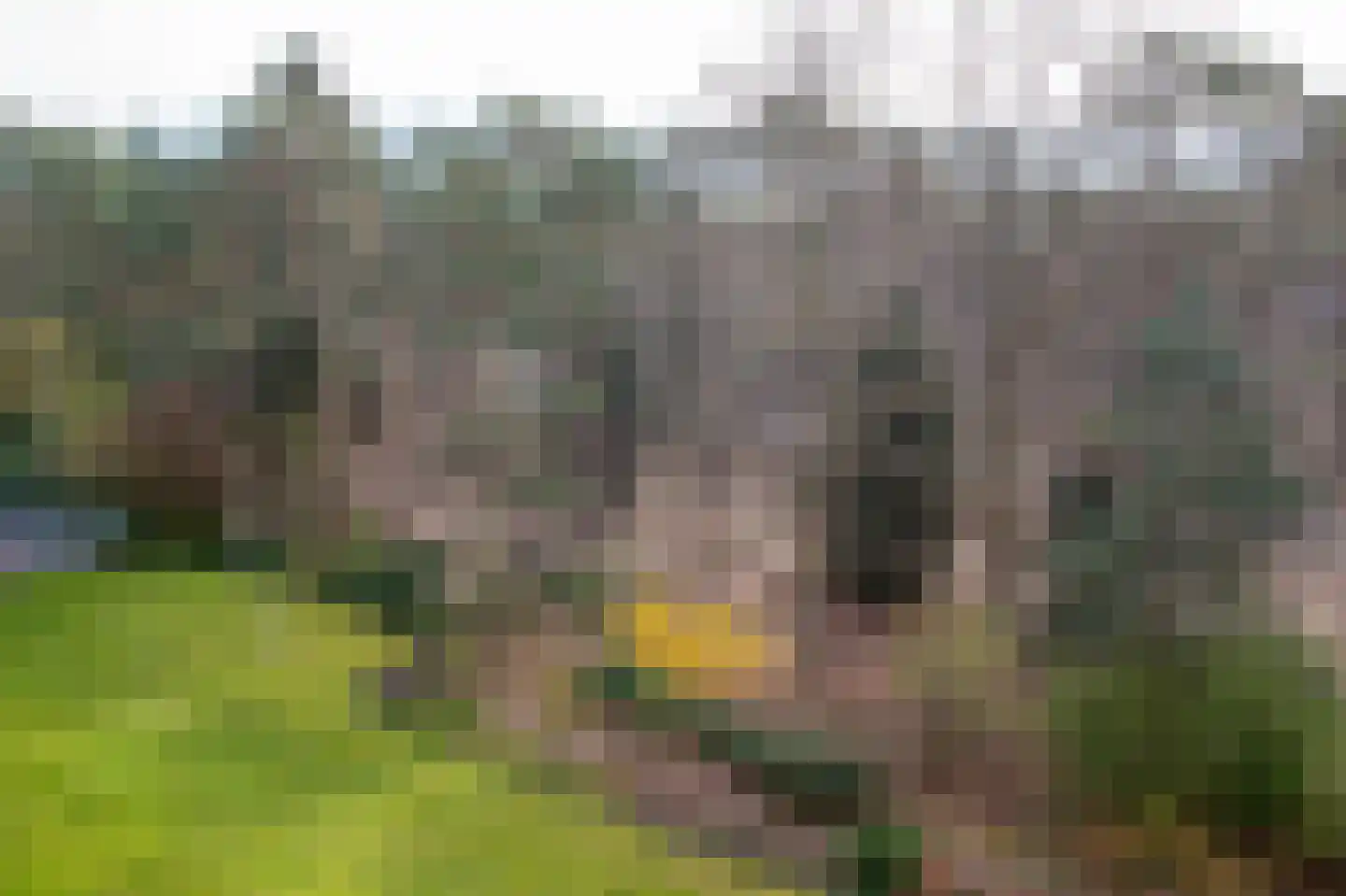 Arnhemse Bovenweg 18 48 Zeist thumbnail 21