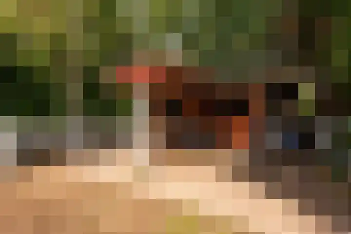 Arnhemsebovenweg 249 Driebergen-Rijsenburg thumbnail 32