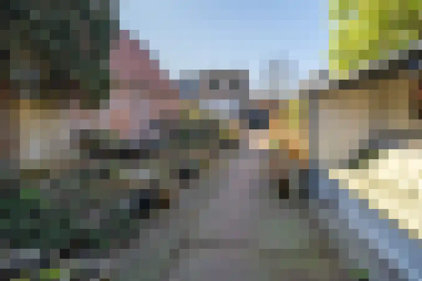 Arnhemsebovenweg 253 Driebergen-Rijsenburg thumbnail 28