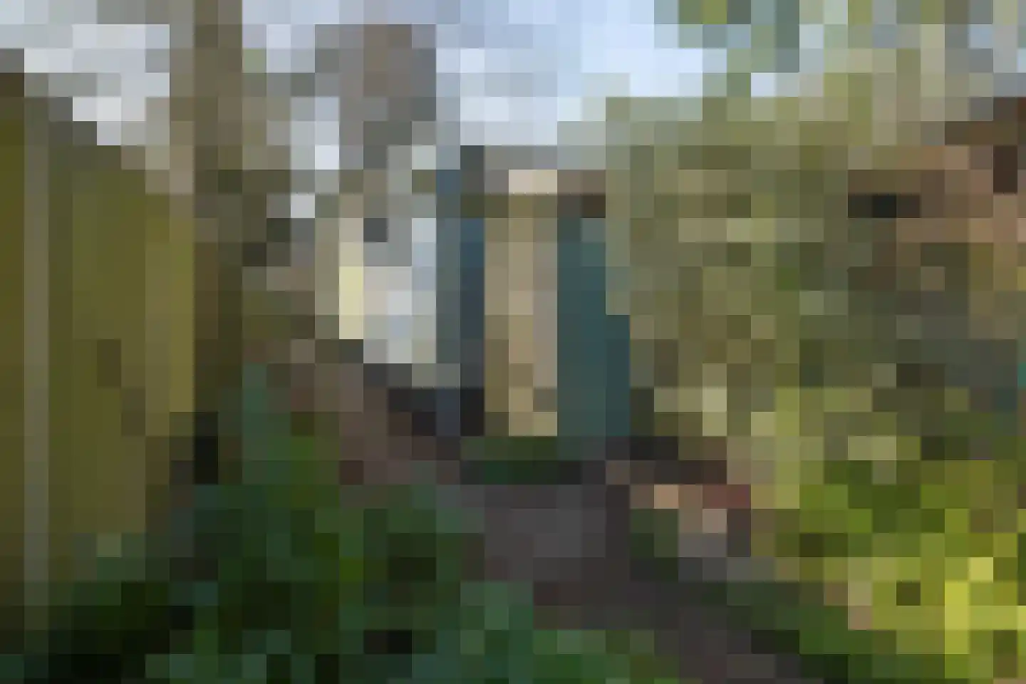 Arnhemsebovenweg 253 Driebergen-Rijsenburg thumbnail 30