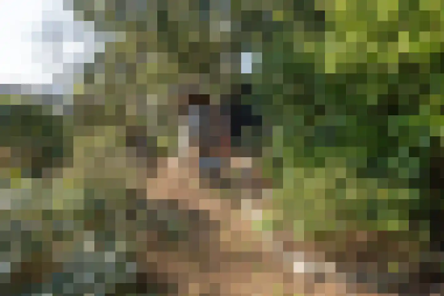 Arnhemsebovenweg 253 Driebergen-Rijsenburg thumbnail 33