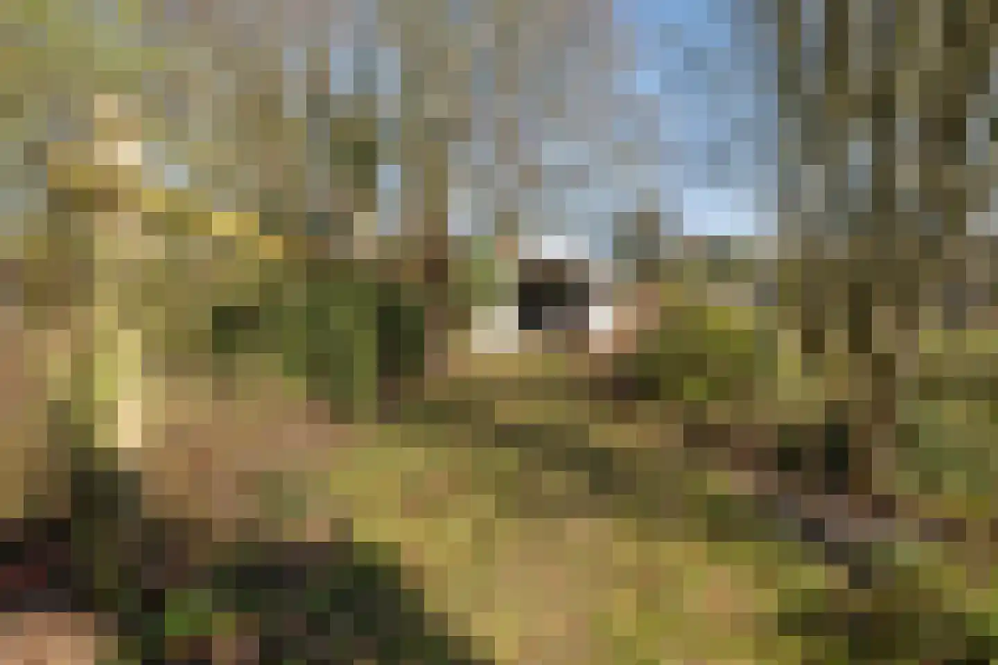 Arnhemsebovenweg 253 Driebergen-Rijsenburg thumbnail 35