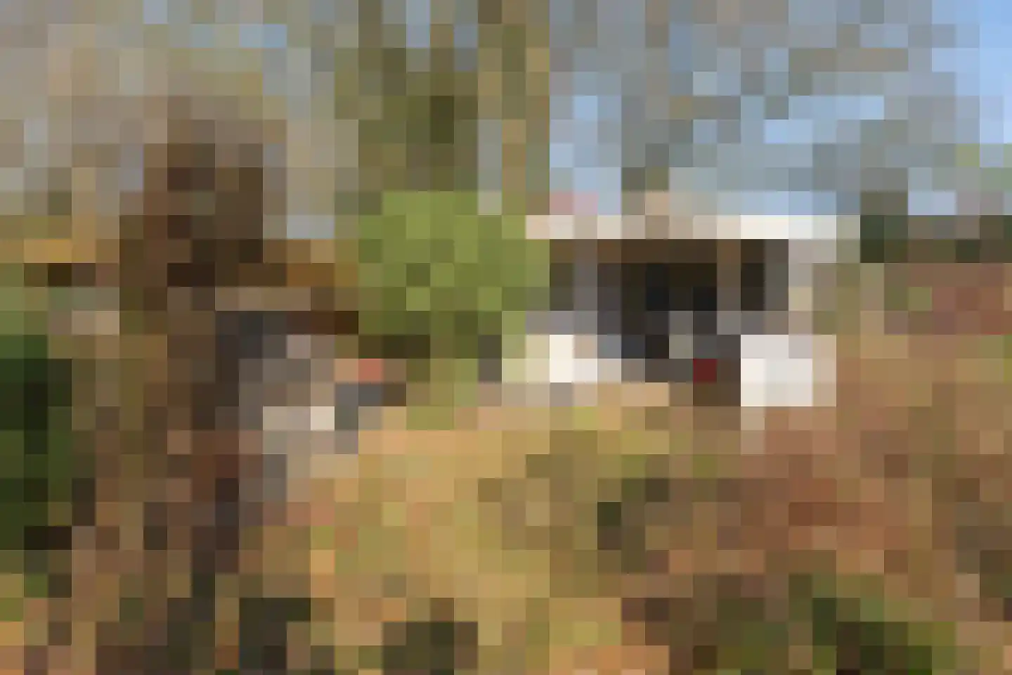 Arnhemsebovenweg 253 Driebergen-Rijsenburg thumbnail 37