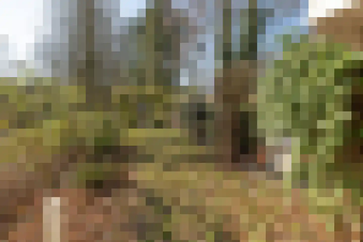 Arnhemsebovenweg 253 Driebergen-Rijsenburg thumbnail 39
