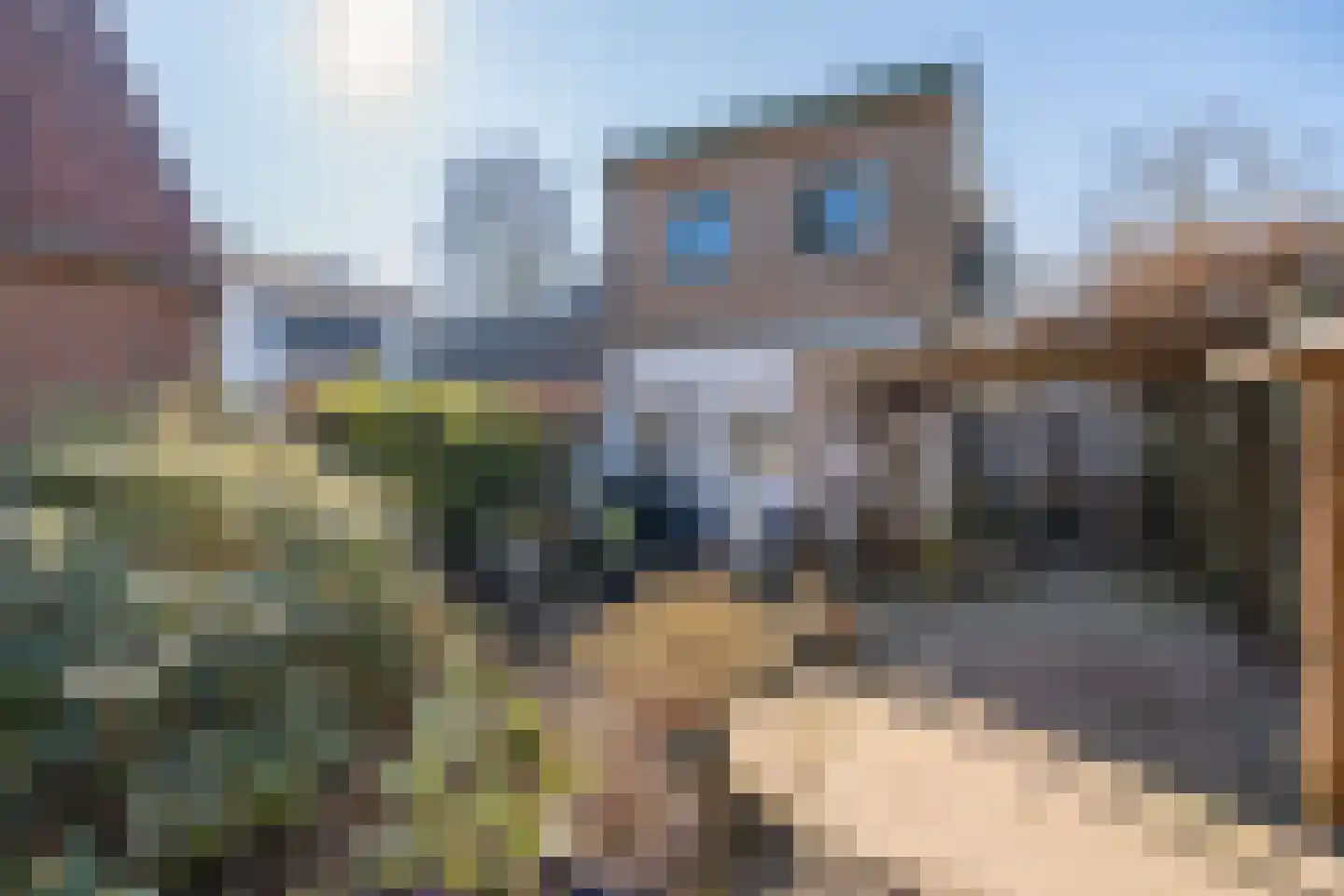 Arnhemsebovenweg 253 Driebergen-Rijsenburg thumbnail 4