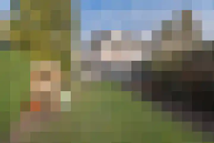 Arnhemsebovenweg 32 Driebergen-Rijsenburg thumbnail 34