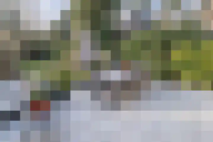 Arnhemsebovenweg 32 Driebergen-Rijsenburg thumbnail 38