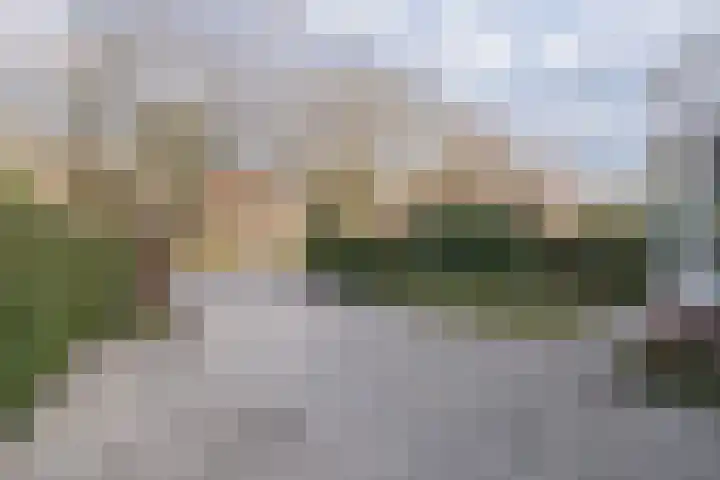 Arnhemsebovenweg 32 Driebergen-Rijsenburg thumbnail 41
