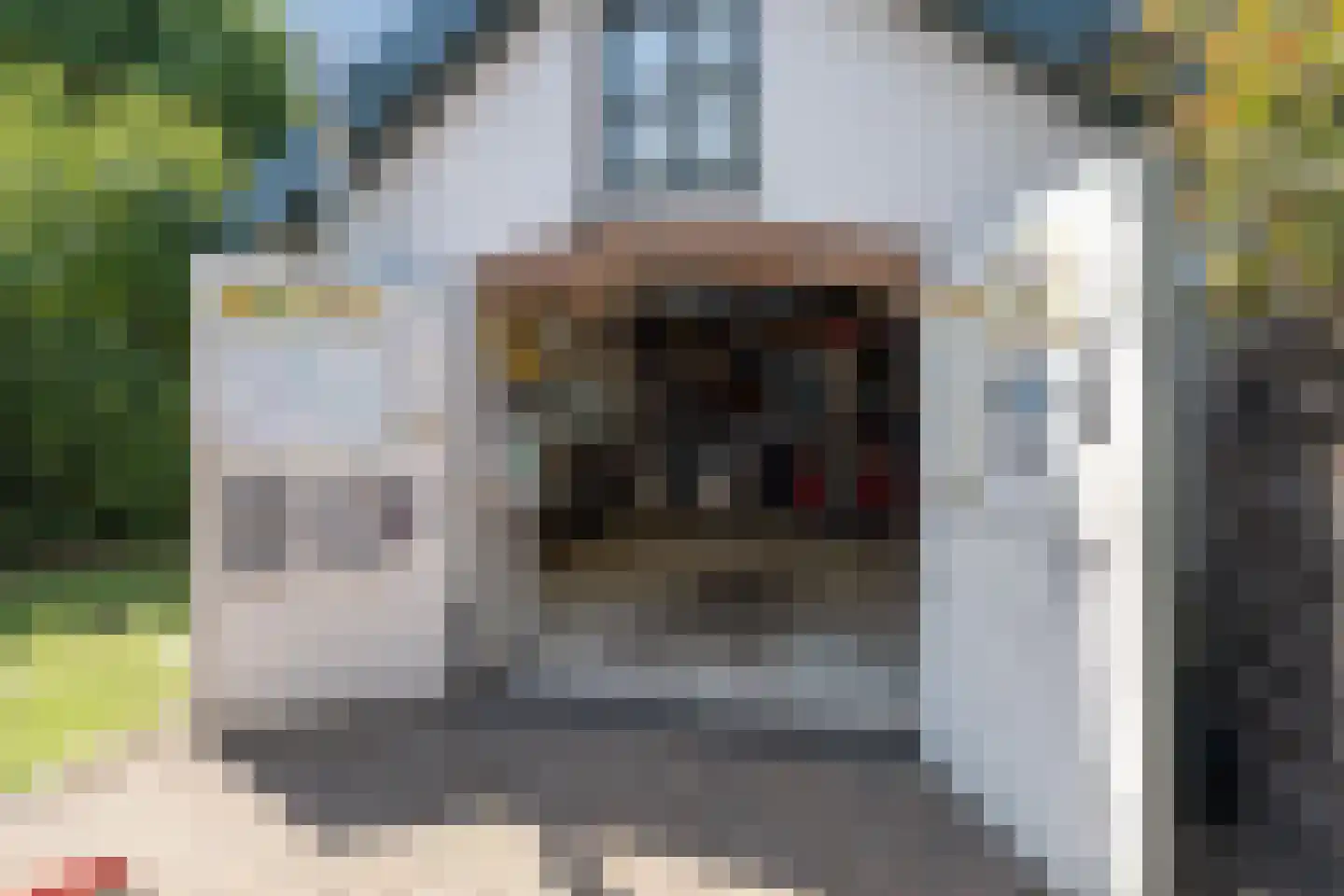 Arnhemsebovenweg 66 Driebergen-Rijsenburg thumbnail 44
