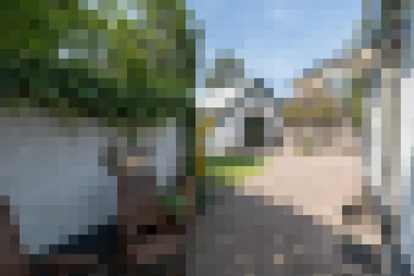 Arnhemsebovenweg 66 Driebergen-Rijsenburg thumbnail 46