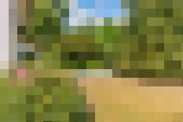 Arnhemsebovenweg 86 Driebergen-Rijsenburg thumbnail 4
