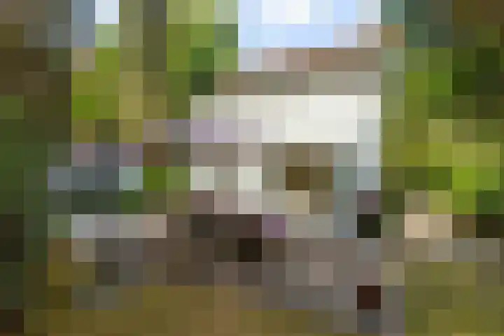 Arnhemsebovenweg 86 Driebergen-Rijsenburg thumbnail 44