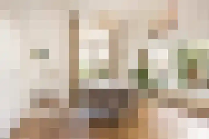 Arnhemsestraat 14 Brummen thumbnail 11