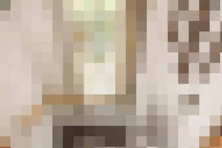 Arnhemsestraat 14 Brummen thumbnail 15