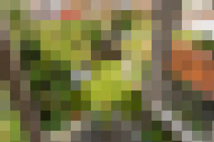 Arnhemsestraat 14 Brummen thumbnail 25