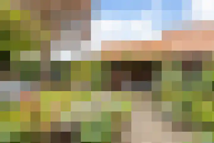 Arnhemsestraat 14 Brummen thumbnail 30