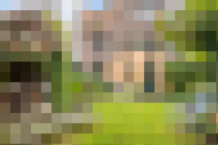 Arnhemsestraat 14 Brummen thumbnail 32