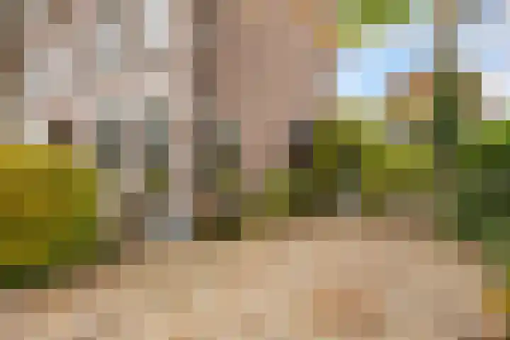 Arnhemsestraat 14 Brummen thumbnail 34