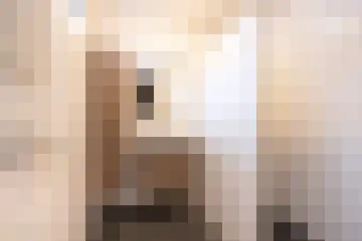 Arnhemsestraat 19 Brummen thumbnail 11