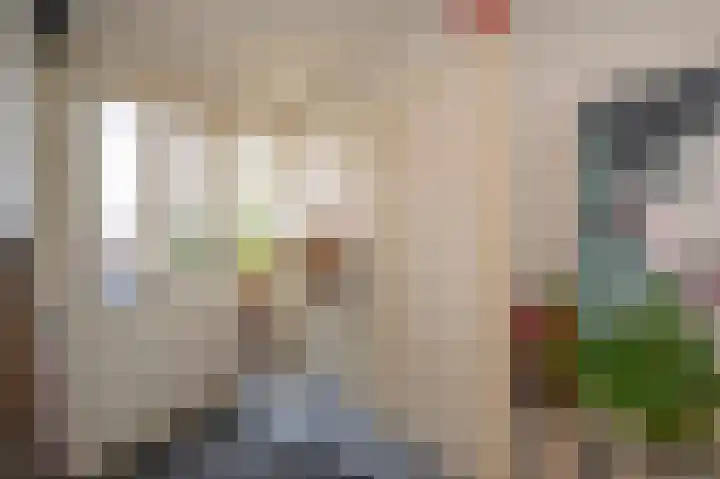 Arnhemsestraat 19 Brummen thumbnail 15