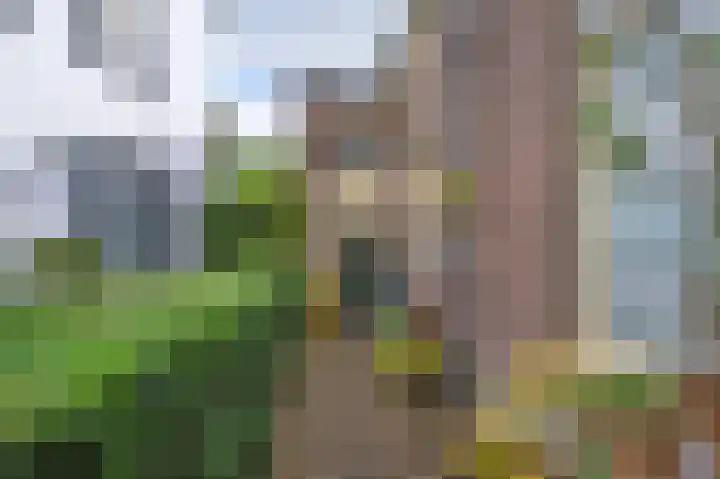 Arnhemsestraat 19 Brummen thumbnail 17