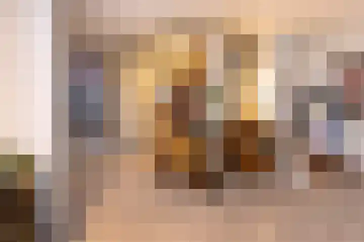 Arnhemsestraat 19 Brummen thumbnail 6