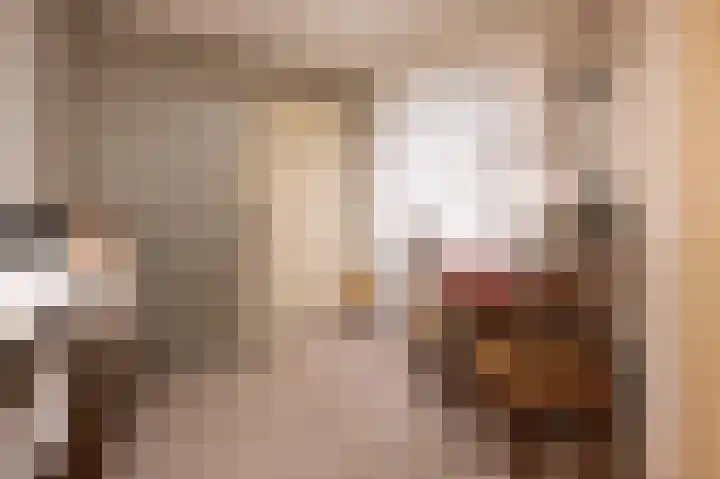 Arnhemsestraat 19 Brummen thumbnail 8