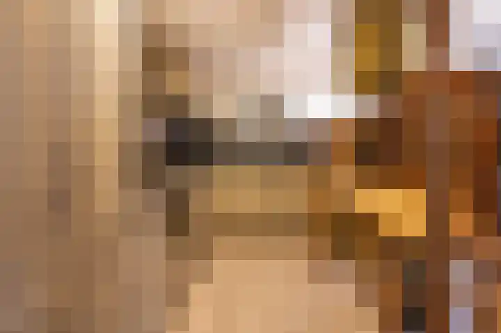 Arnhemsestraat 19 Brummen thumbnail 9
