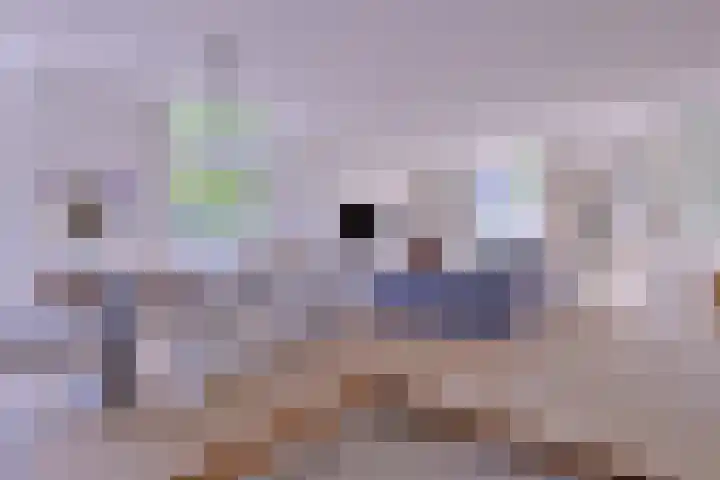 Arnhemsestraat 23 Brummen thumbnail 10