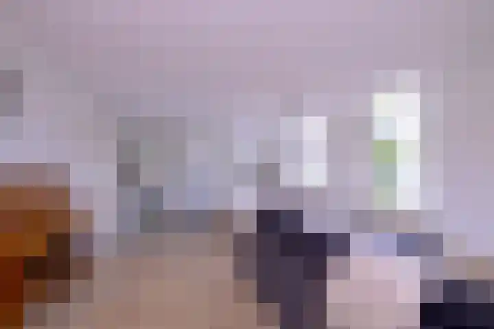 Arnhemsestraat 23 Brummen thumbnail 12